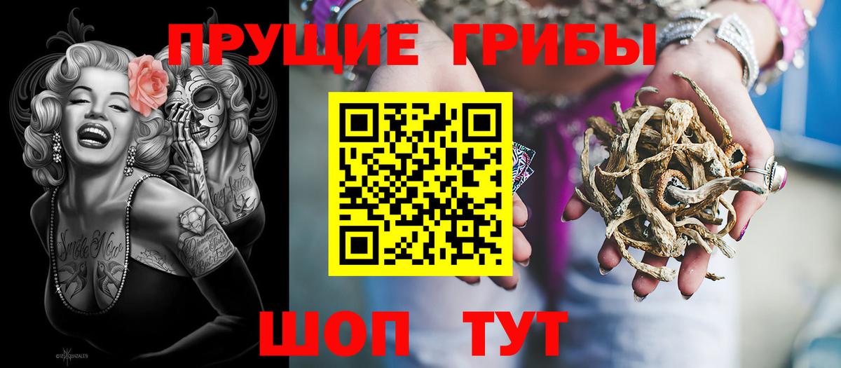Псилоцибиновые грибы Psilocybe  Псилоцибиновые грибы прущие грибы  Троицк  Вход с VPN 
